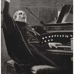 Priscila Freitas Areas